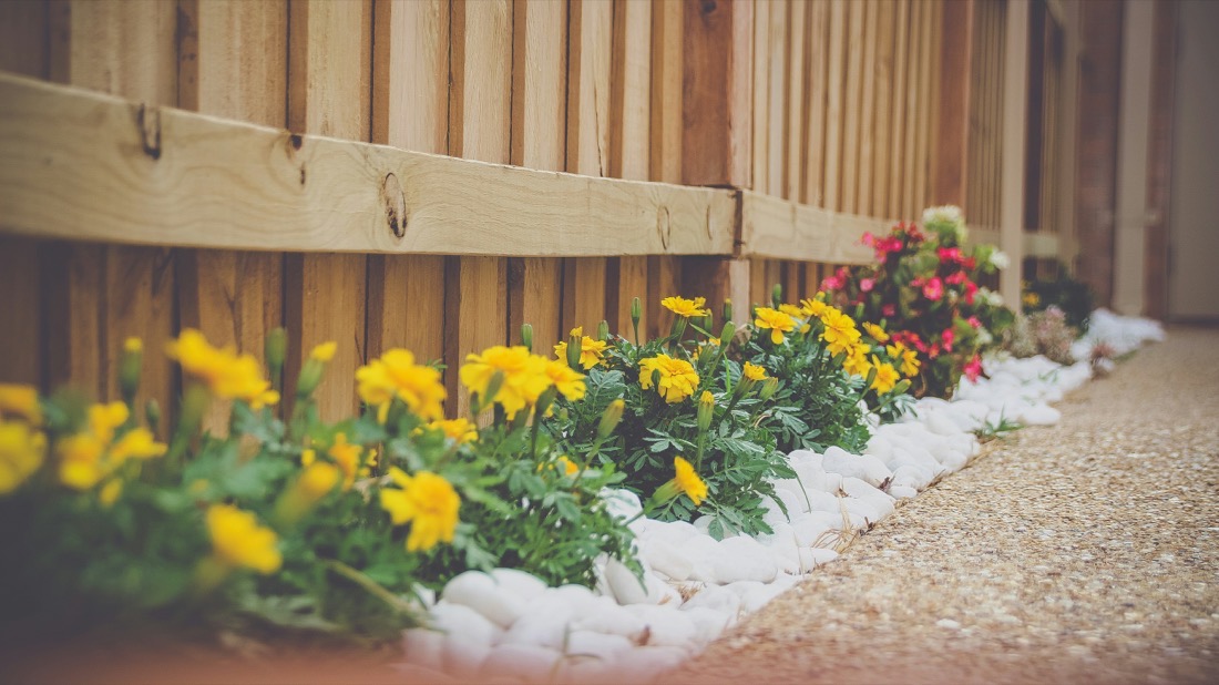 Marigolds and flowers along a stone garden border
